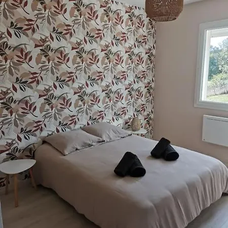 La Maison Du Bagas, 7pers Holiday home